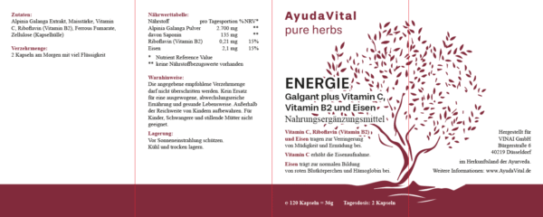 Energie Galgant plus Vitamin C, Vitamin B2 und Eisen -  Pure Herbs