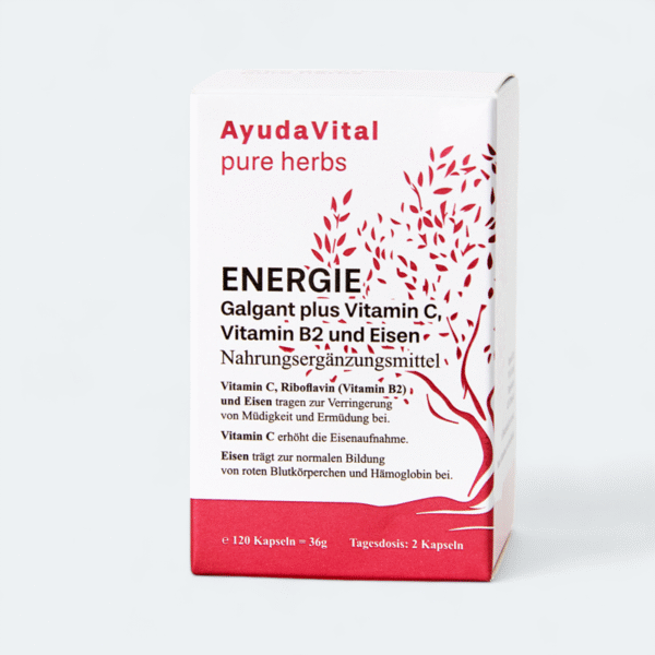 Energie Galgant plus Vitamin C, Vitamin B2 und Eisen -  Pure Herbs - Image 3